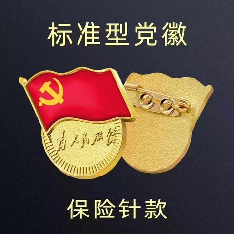 为人民服务徽章/党徽-标准款/别针