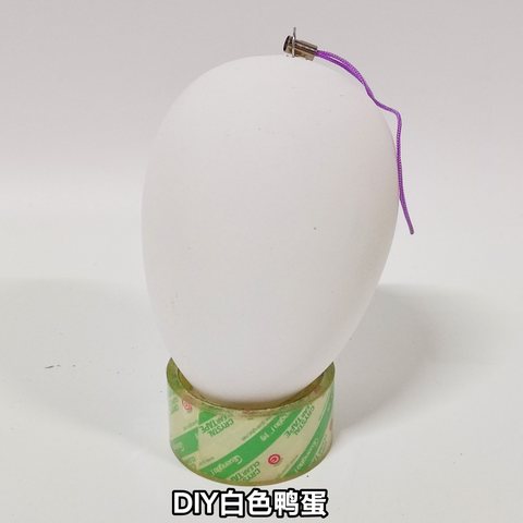 DIY白色鸭蛋