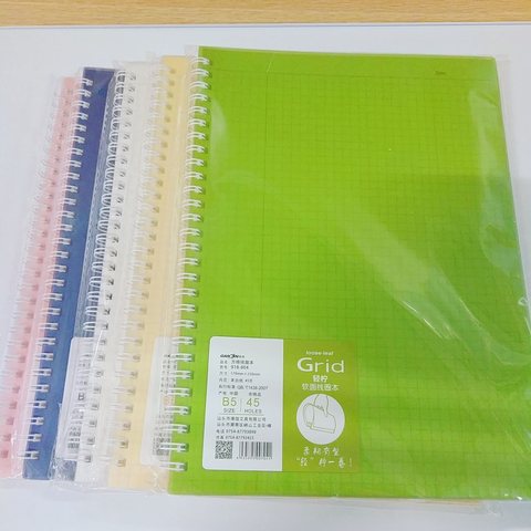 港信g18-804线圈本-方格