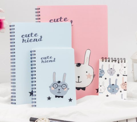 欧力益5401线圈本-浅红/B5/双线圈